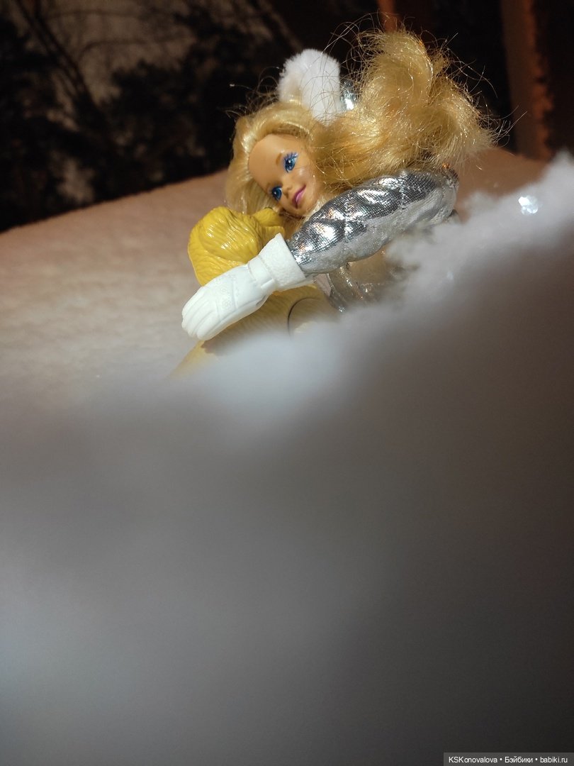 После снегопада — Куклы Barbie (Барби): Looks