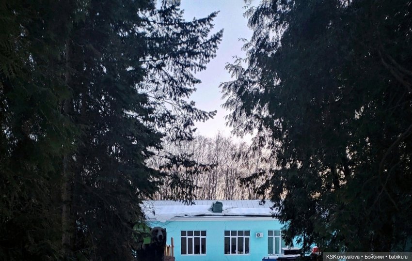 Новогодняя телепрограмма - мультфильм "Новогодняя сказка" (фото 5)