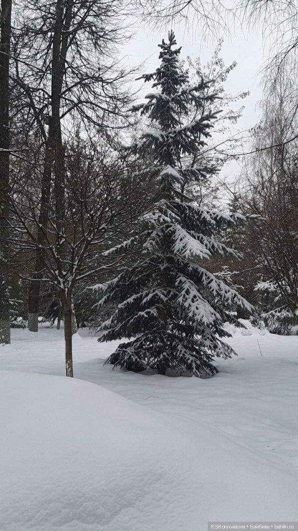 Новогодняя телепрограмма - мультфильм "Новогодняя сказка"