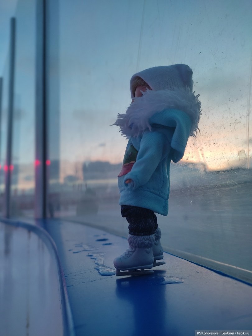 Каток — Куклы Barbie (Барби): Looks