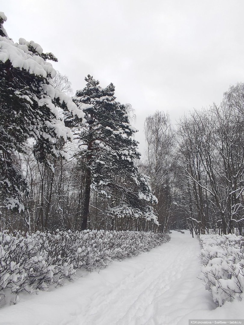 ПЕШКОМ. Русский Версаль в Усадьбе Кузьминки