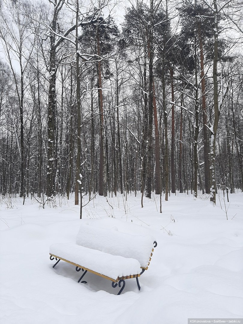 ПЕШКОМ. Русский Версаль в Усадьбе Кузьминки