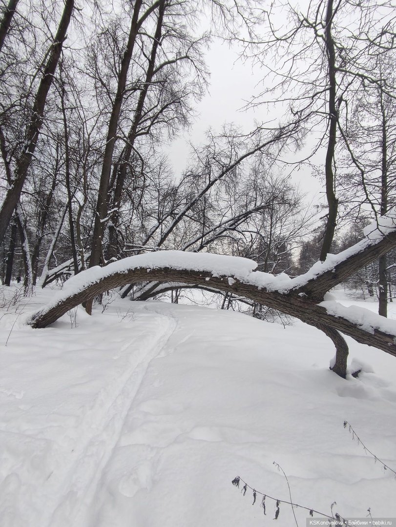 ПЕШКОМ. Русский Версаль в Усадьбе Кузьминки