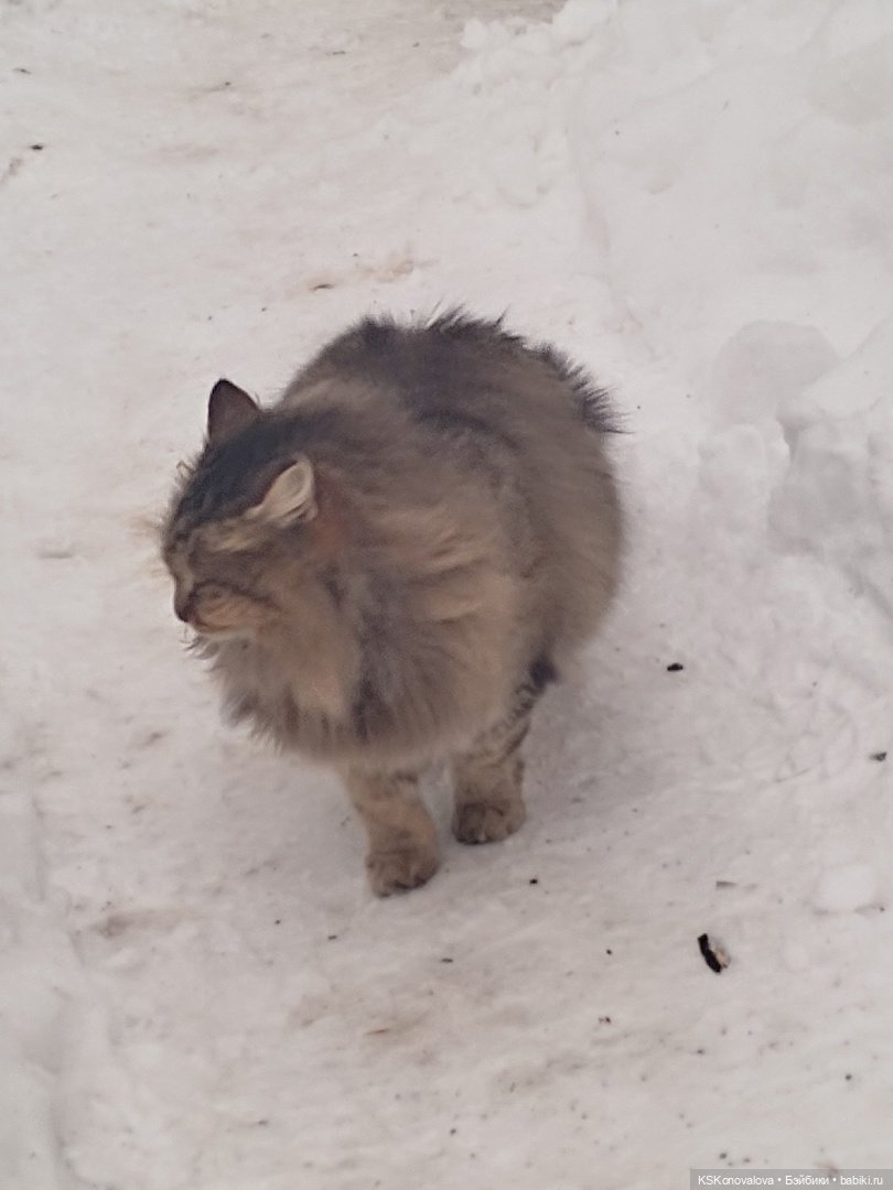 ПЕШКОМ. Русский Версаль в Усадьбе Кузьминки