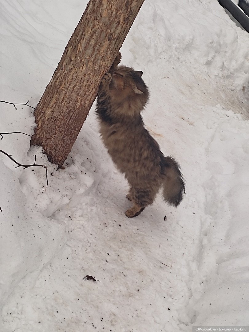 ПЕШКОМ. Русский Версаль в Усадьбе Кузьминки