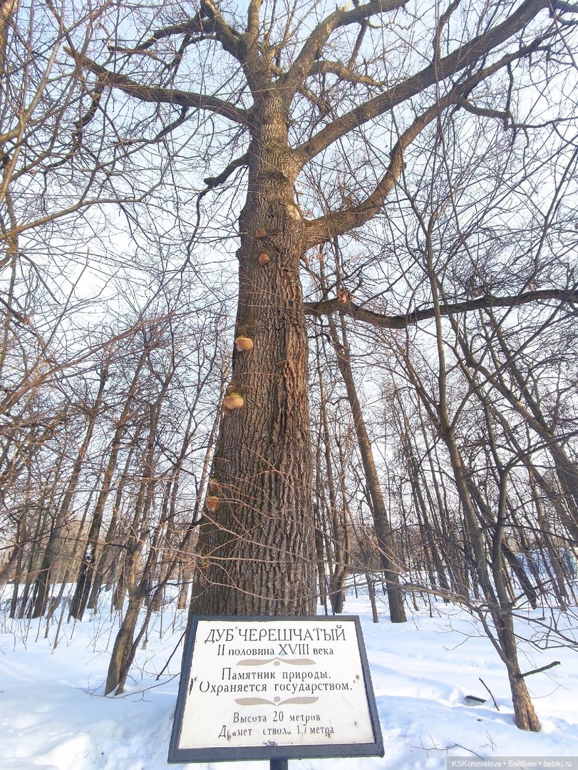 ПЕШКОМ. Усадьба Кузьминки. Легенды, мистика, мифы, свет и мрак
