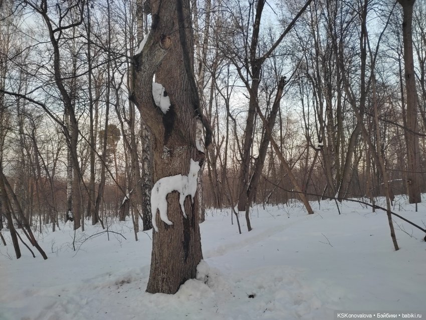 ПЕШКОМ. Усадьба Кузьминки. Легенды, мистика, мифы, свет и мрак