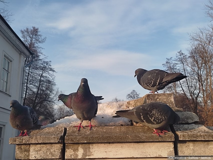 ПЕШКОМ. Усадьба Кузьминки. Легенды, мистика, мифы, свет и мрак