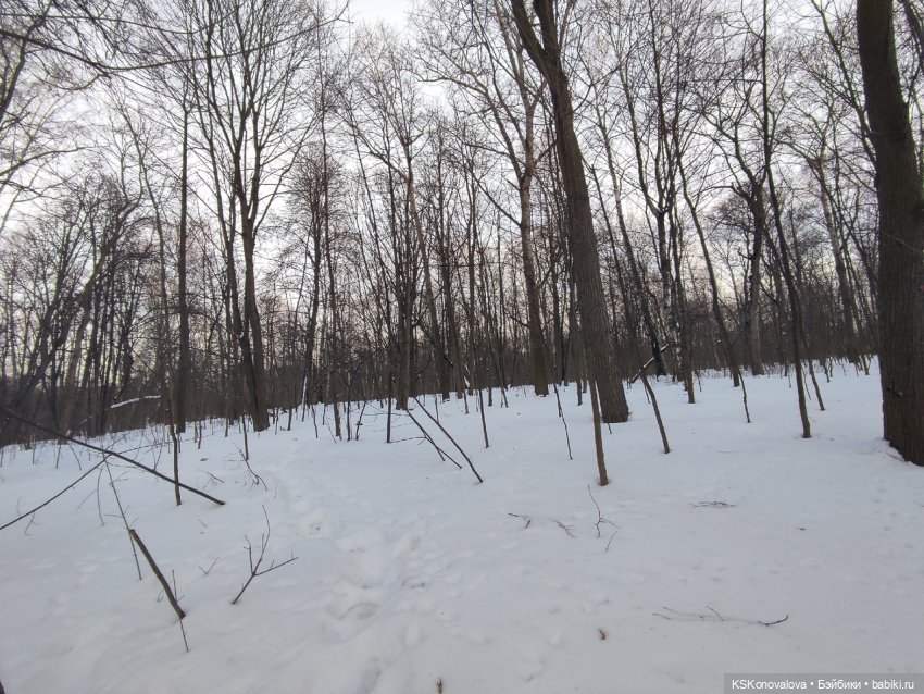 ПЕШКОМ. Усадьба Кузьминки. Легенды, мистика, мифы, свет и мрак