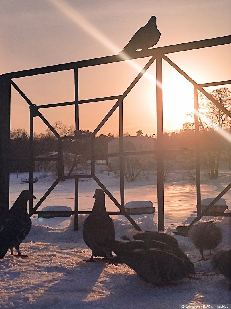ПЕШКОМ. Усадьба Кузьминки. Легенды, мистика, мифы, свет и мрак