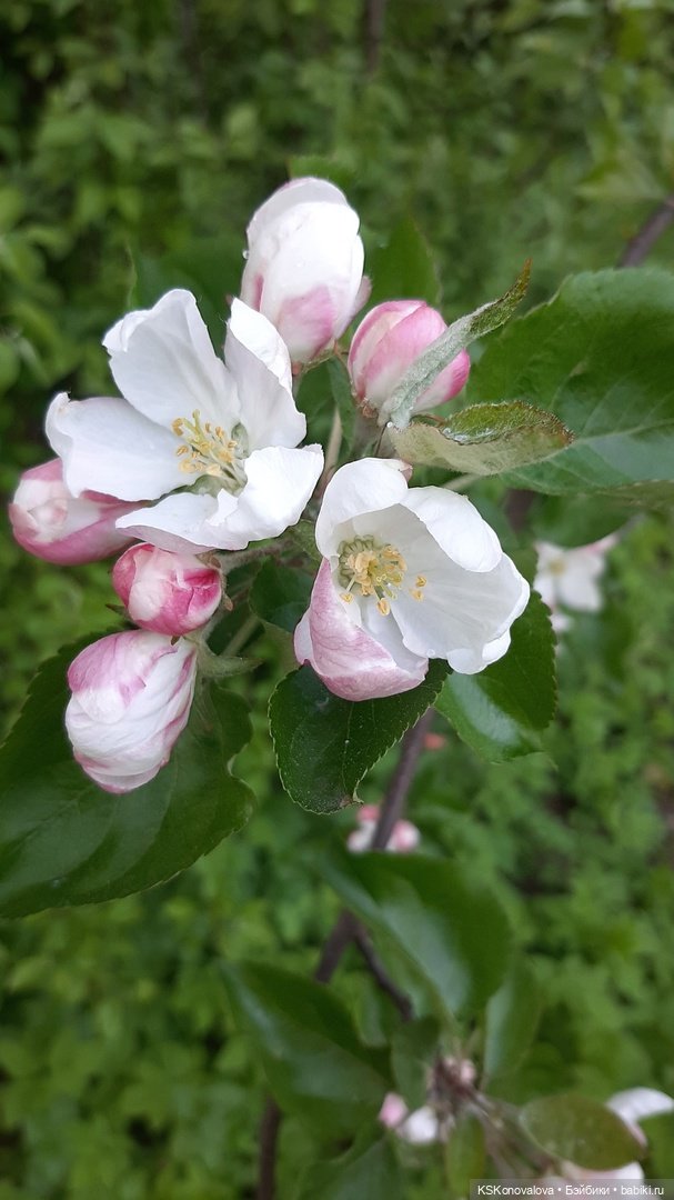 ПЕШКОМ. Усадьба Кузьминки. Легенды, мистика, мифы, свет и мрак