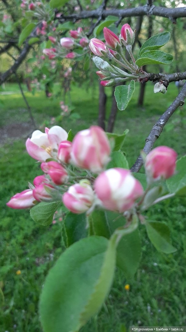 ПЕШКОМ. Усадьба Кузьминки. Легенды, мистика, мифы, свет и мрак