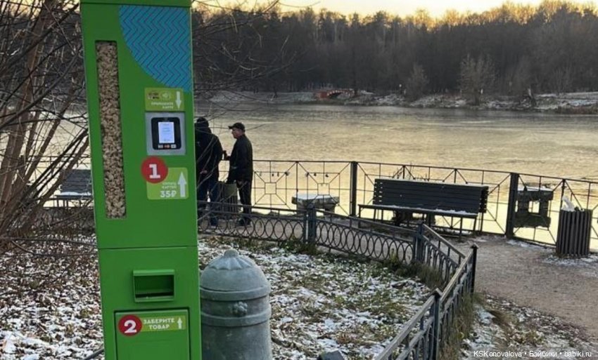 Деду Морозу Весна куклу подарила