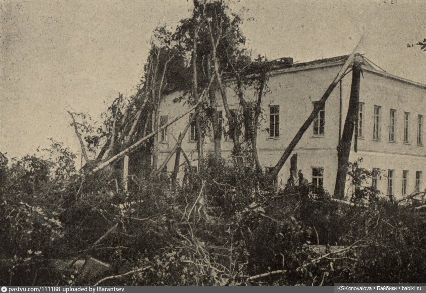 ПЕШКОМ. Люблино. Три тихих и уютных этажа старинной усадьбы