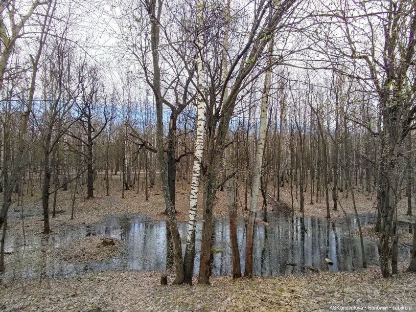 Готовь сани летом, а АВГУСТФЕСТ весной (фото 4)