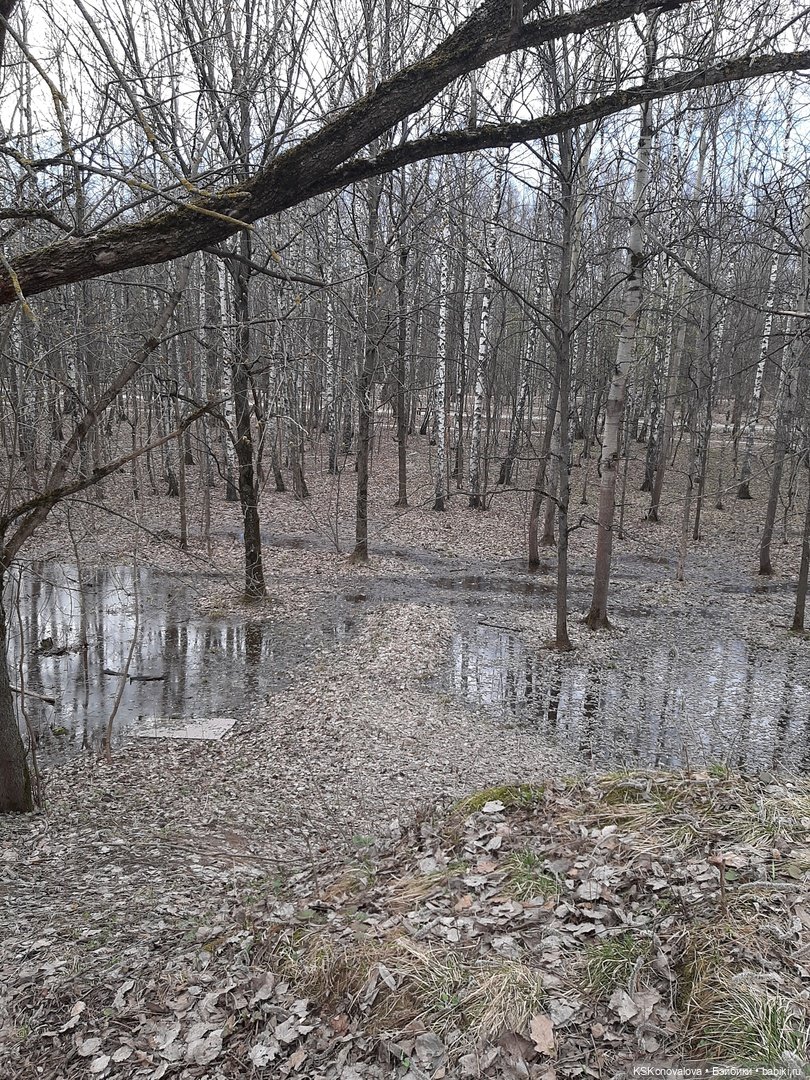 Готовь сани летом, а АВГУСТФЕСТ весной (фото 3)