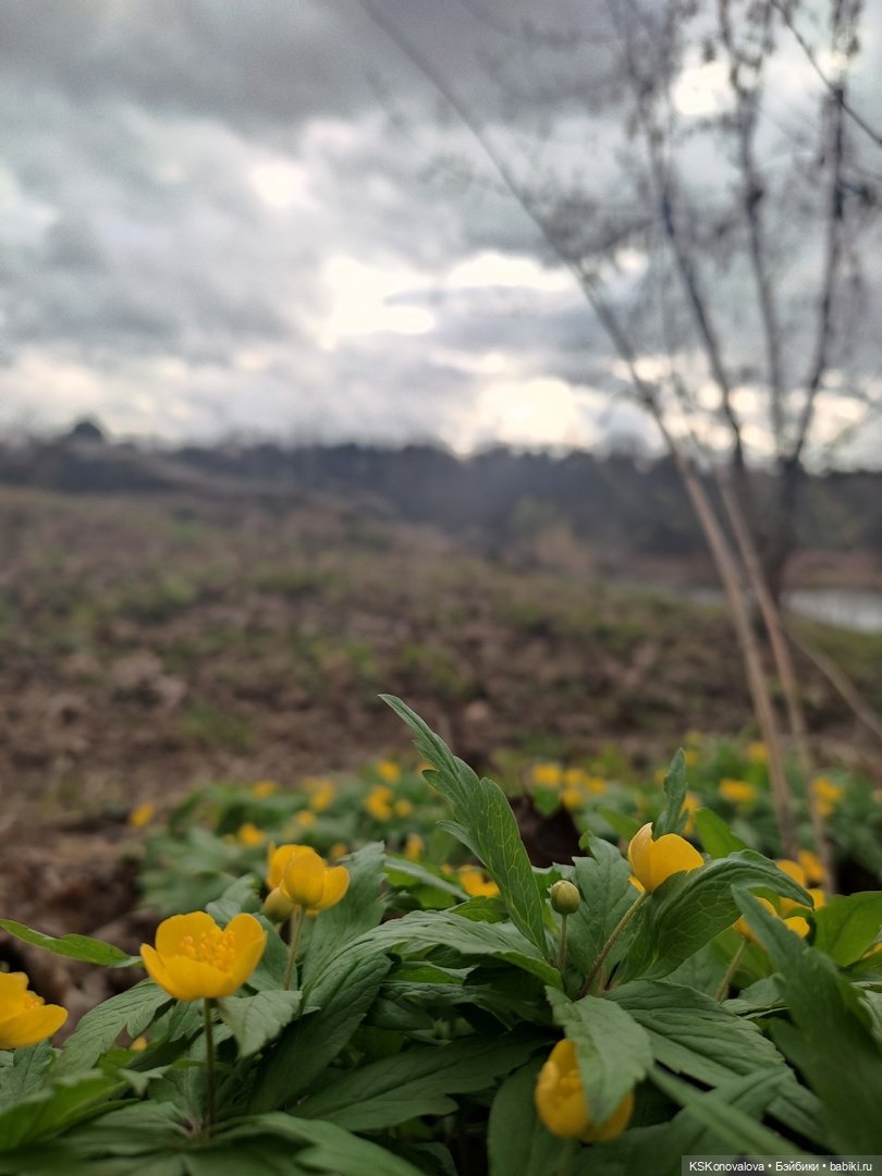 За весной помогают следить именно эти куклы