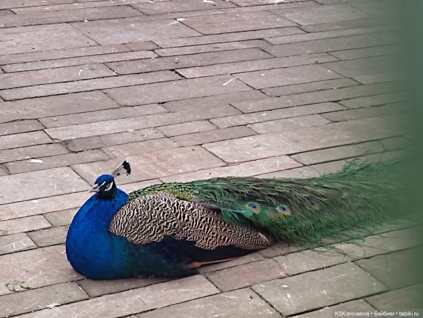 ПЕШКОМ. Богом хранимая Усадьба Кусково