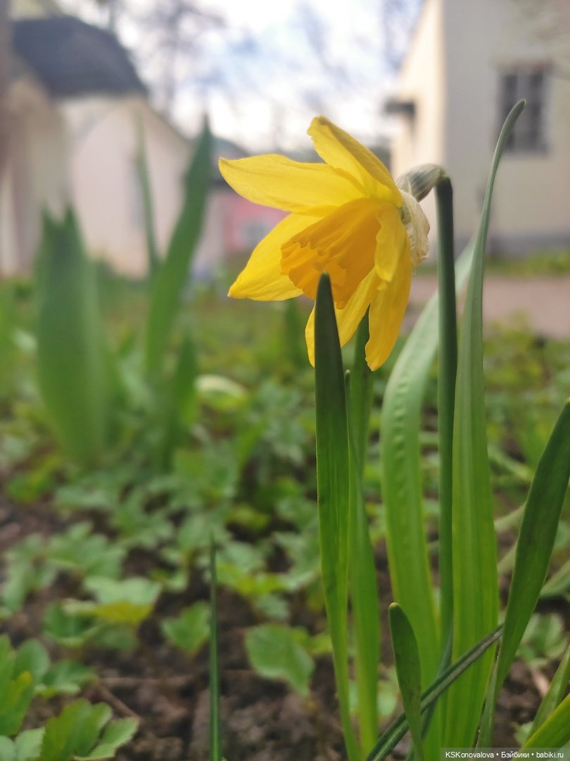 ПЕШКОМ. Богом хранимая Усадьба Кусково