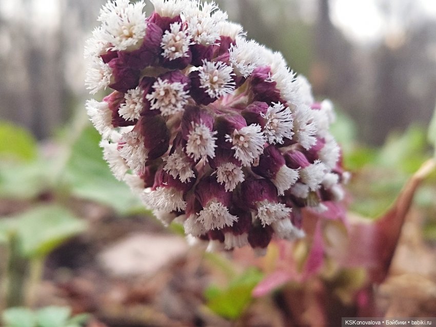 Весна в стиле Shadow High
