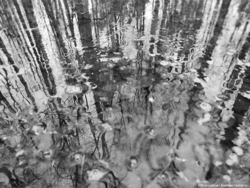 Семнадцать мгновений весны. 1 - 4 серия. Августфест 2024