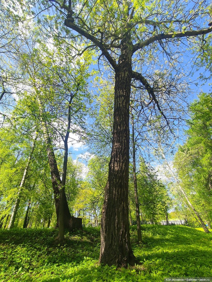 ПЕШКОМ. Тайна усадьбы Кусково (фото 10)