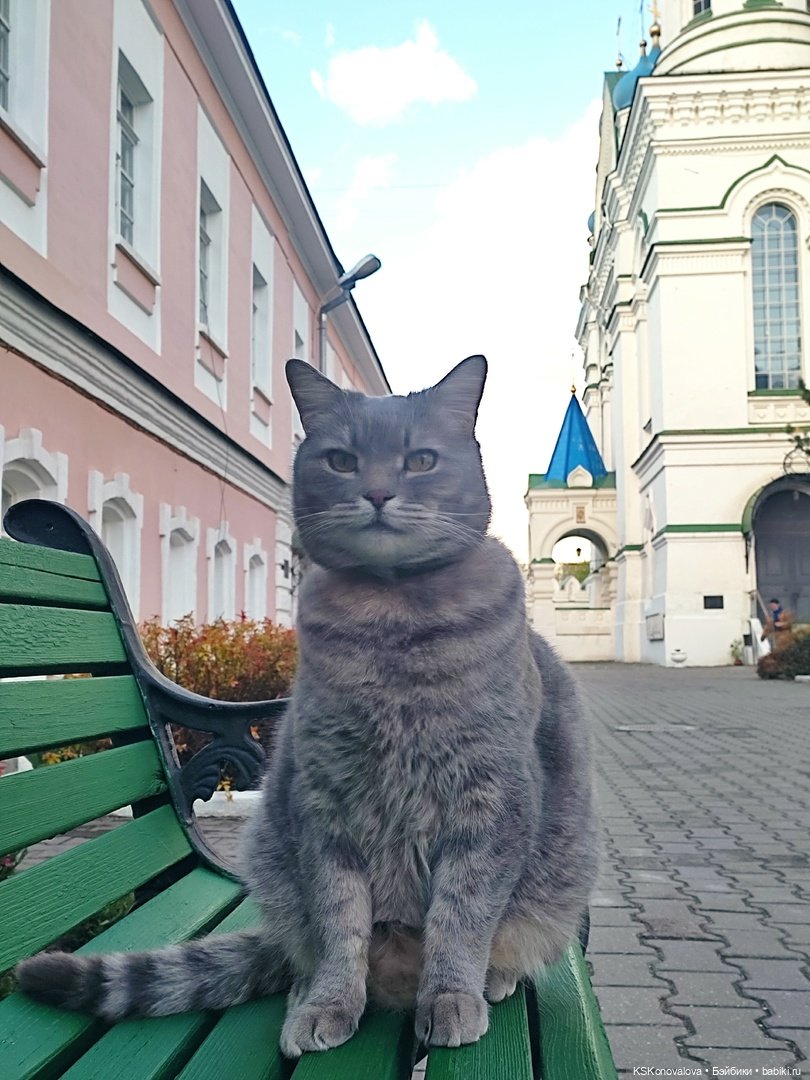 ПЕШКОМ. Москва Православная. Перерва