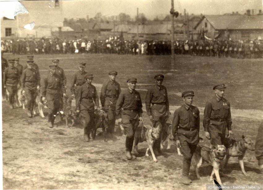 ПЕШКОМ. Усадьба Кусково на службе народу и Отечеству
