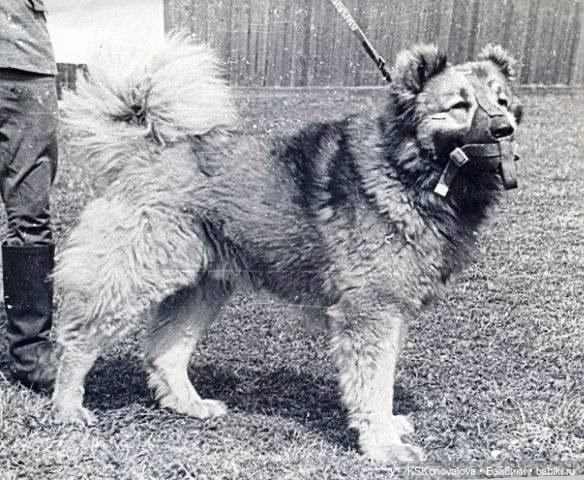 ПЕШКОМ. Усадьба Кусково на службе народу и Отечеству