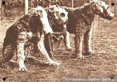 ПЕШКОМ. Усадьба Кусково на службе народу и Отечеству