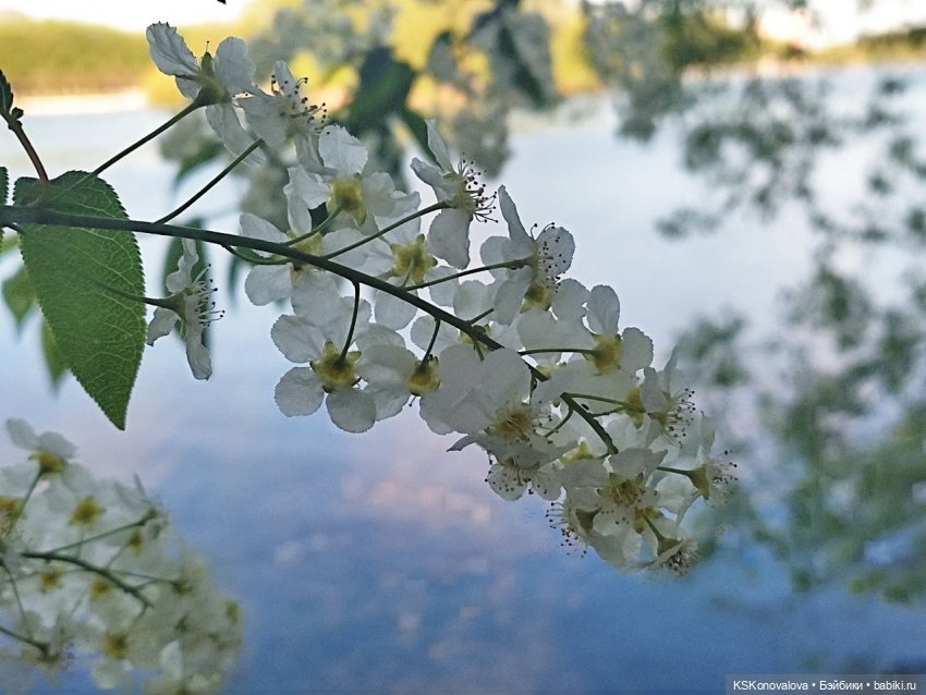 ПЕШКОМ. Усадьба Кусково на службе народу и Отечеству