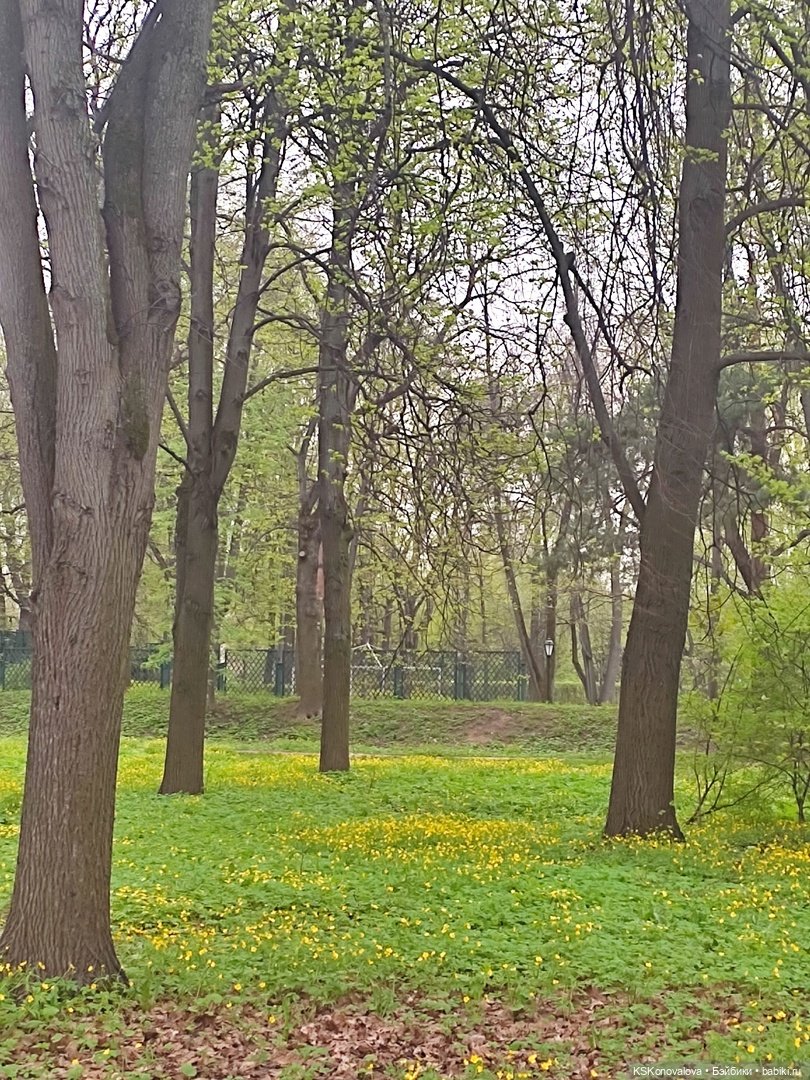 ПЕШКОМ. Усадьба Кусково на службе народу и Отечеству