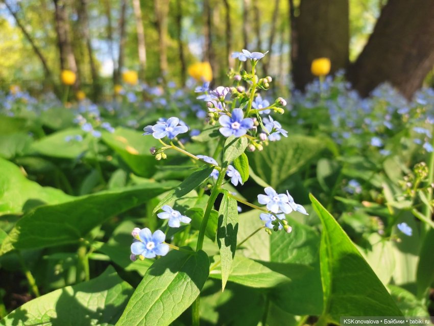 ПЕШКОМ. Усадьба Кусково на службе народу и Отечеству