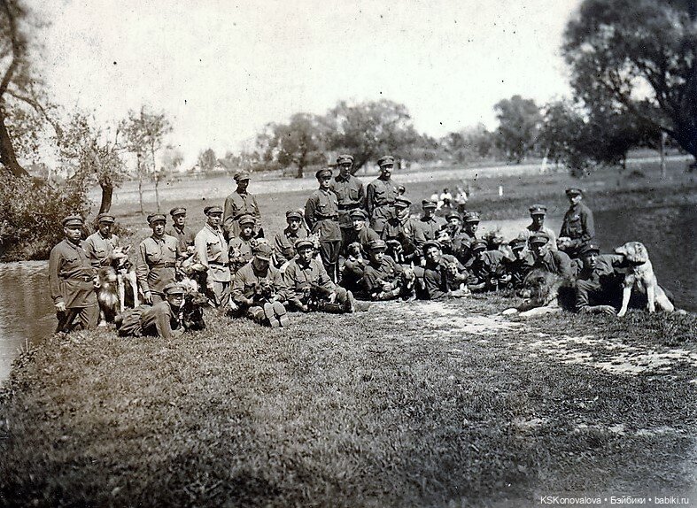 ПЕШКОМ. Усадьба Кусково на службе народу и Отечеству