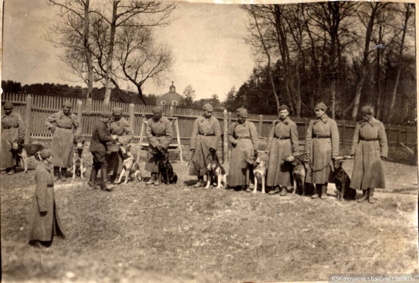 ПЕШКОМ. Усадьба Кусково на службе народу и Отечеству