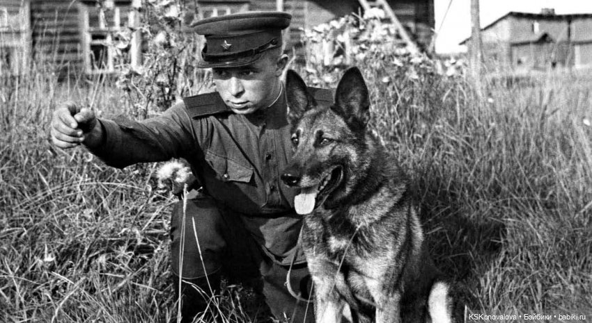 ПЕШКОМ. Усадьба Кусково на службе народу и Отечеству