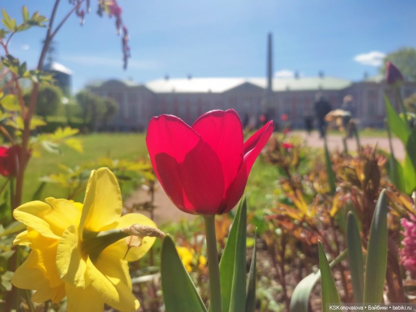 ПЕШКОМ. Усадьба Кусково на службе народу и Отечеству