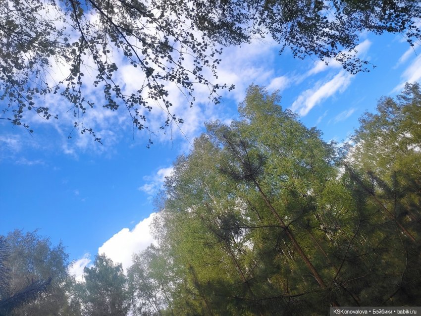 МЫ ВАС ЛЮБИМ — Игрушки СССР и советского детства: резиновые (фото 3)