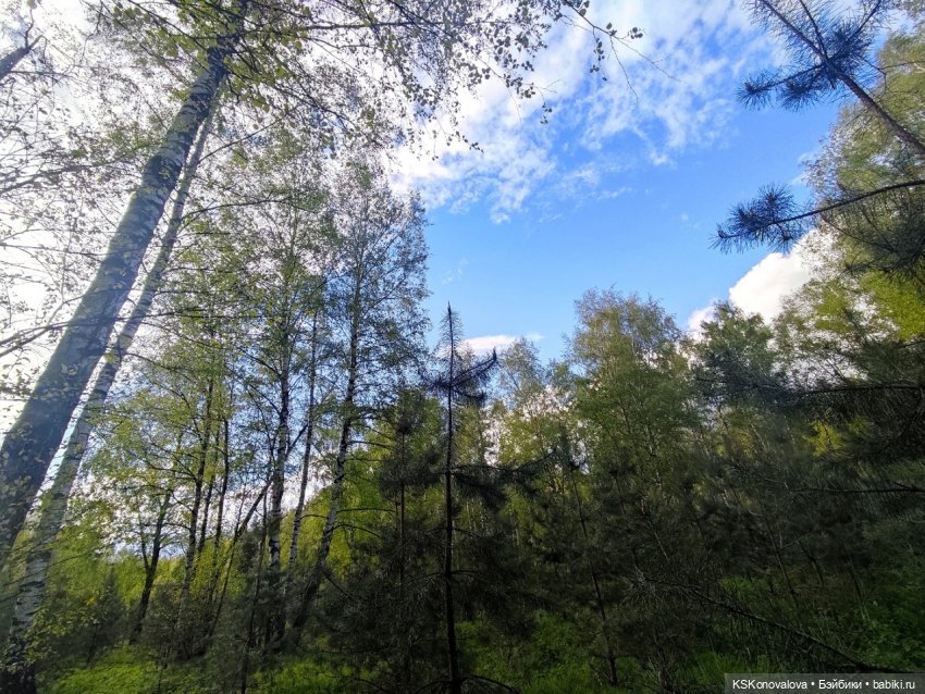 МЫ ВАС ЛЮБИМ — Игрушки СССР и советского детства: резиновые