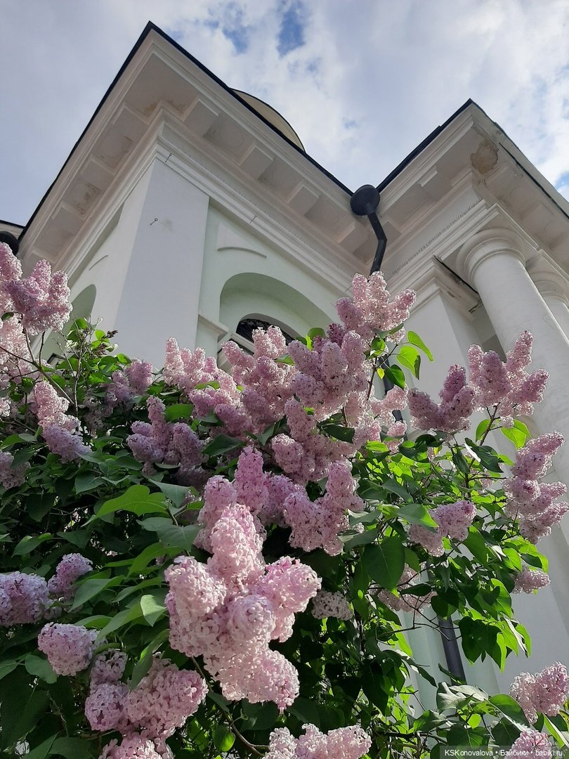 Майская ботаника и Келли — Куклы Mattel (Маттел) разное: Enchantimals