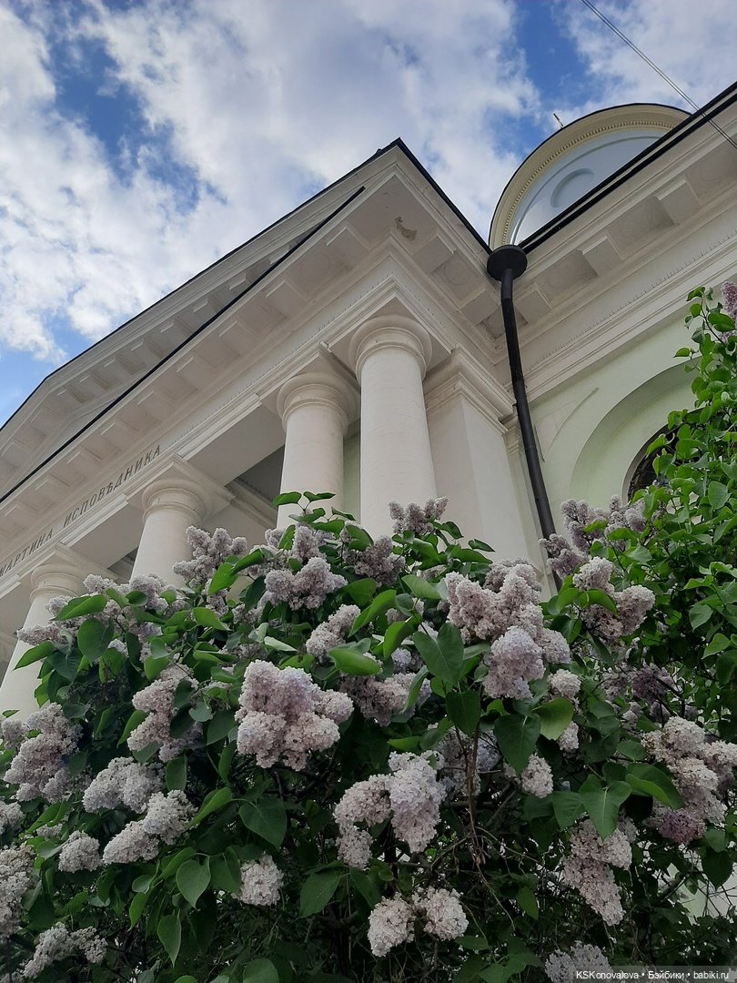 Майская ботаника и Келли — Куклы Mattel (Маттел) разное: Enchantimals