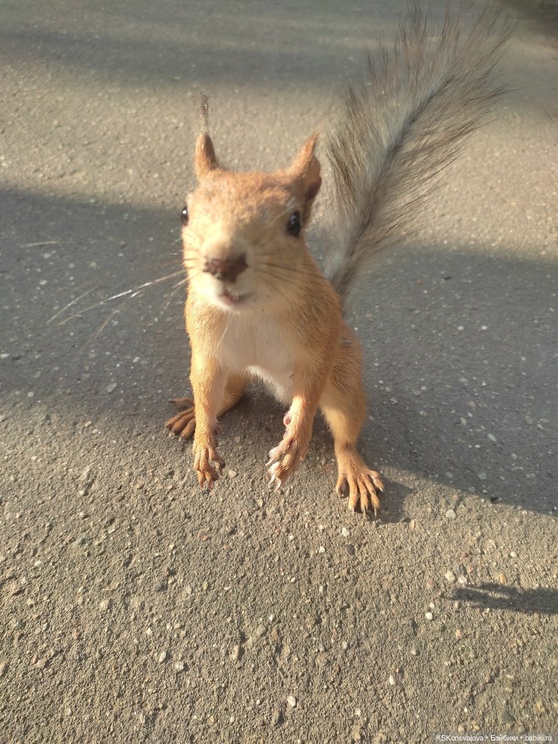Уроки живой природы... и не только