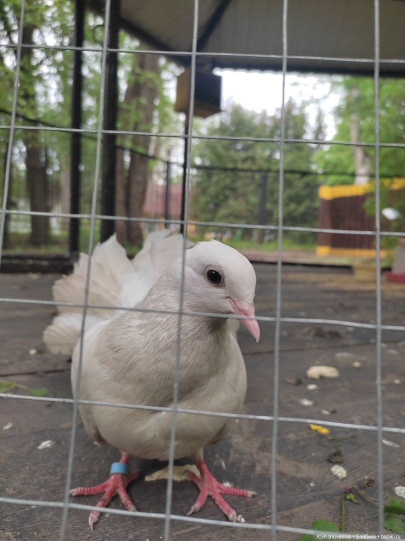 Уроки живой природы... и не только (фото 3)