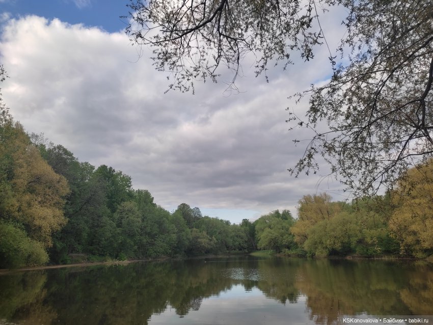 Уроки живой природы... и не только