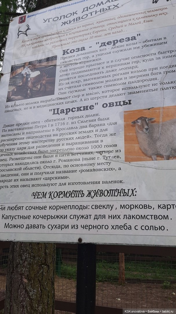 Уроки живой природы... и не только