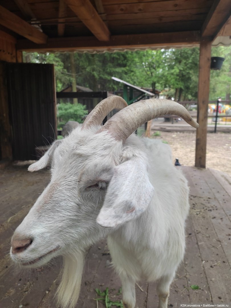 Уроки живой природы... и не только