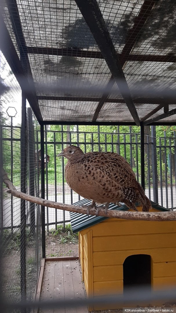 Уроки живой природы... и не только