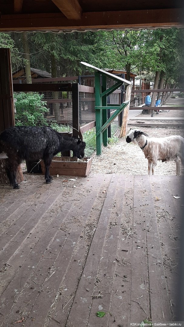 Уроки живой природы... и не только