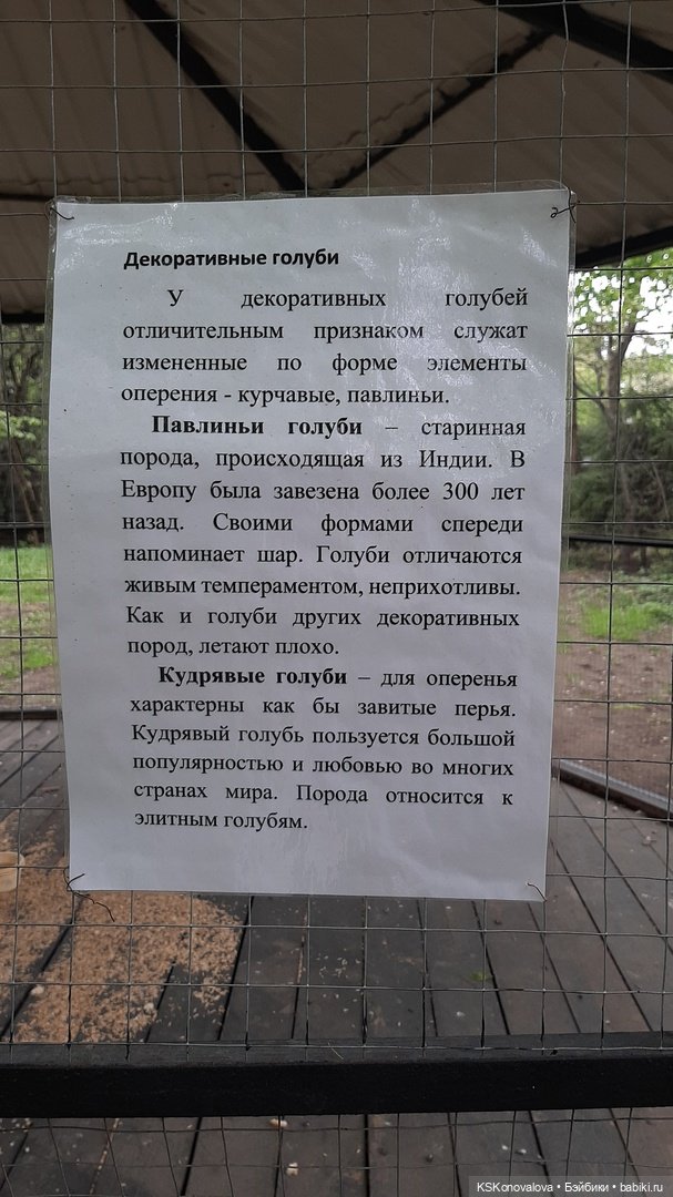 Уроки живой природы... и не только (фото 5)