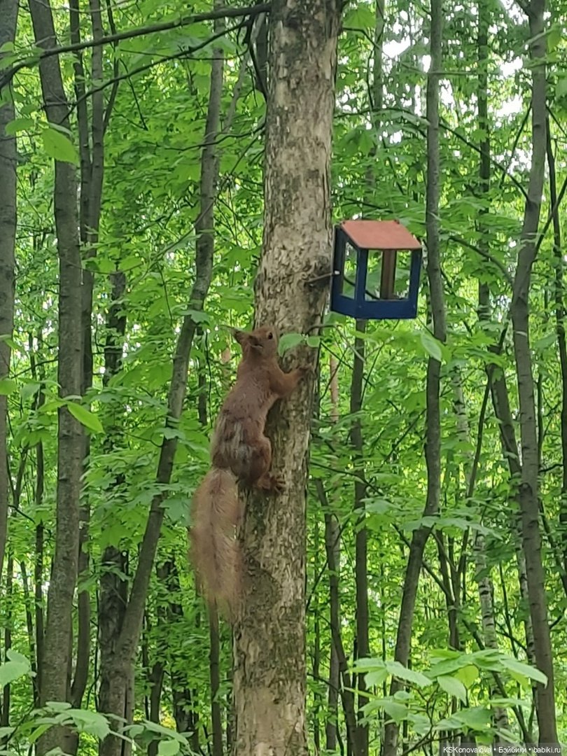 Уроки живой природы... и не только